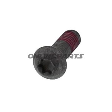 Brake Disc Screwm8x1.25X25mm