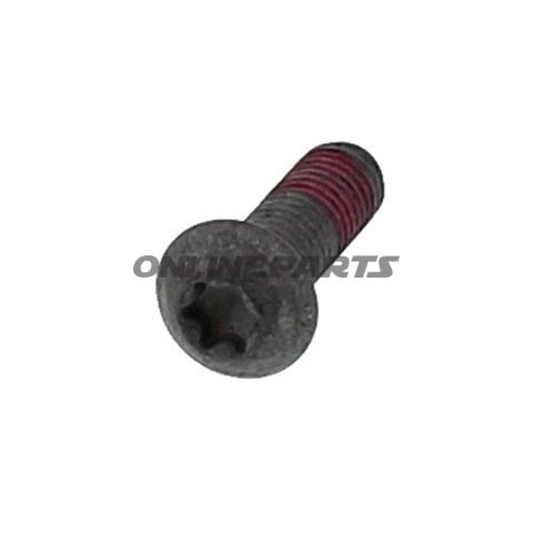 Brake Disc Screwm8x1.25X25mm