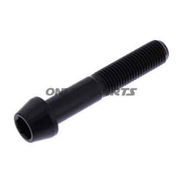 Schraube konisch M10 x 1.25 mm 55 mm Edelstahl V4A schwarz