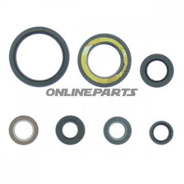 Wellendichtring Satz