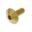 Linsenschraube M6X1.00 mm 16 mm Edelstahl V4A gold