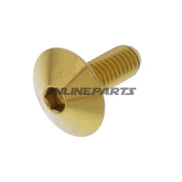 Linsenschraube M6X1.00 mm 16 mm Edelstahl V4A gold