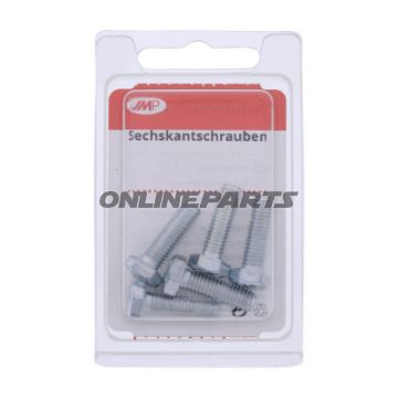 Zinkbelagt skrue 8,8 M6 x 20 pakke 5 stk Alternativ: 4868246