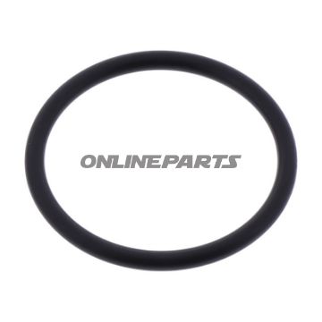 O-Ring 980118