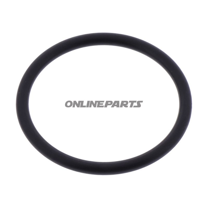 O-Ring 980118