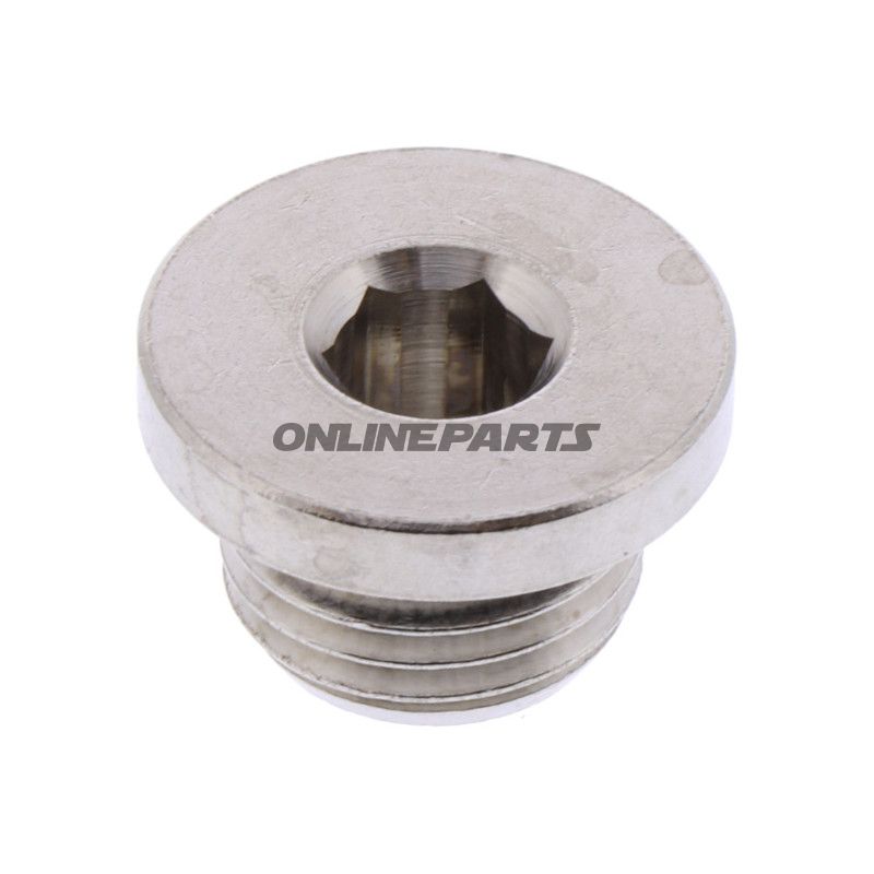 Blindstopfning G 1/4 111410