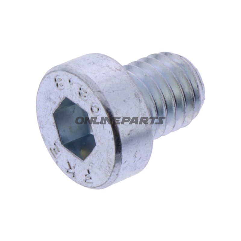 Cylinderskrue M10X12 DIN 7984ZN Stop AUTOP