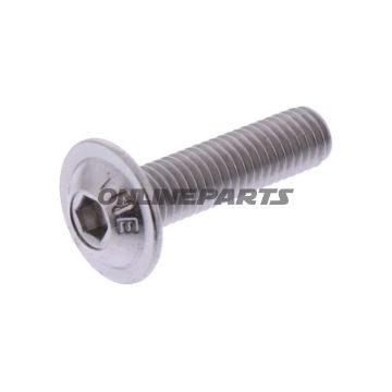 Skrue V2A M5X20 mm