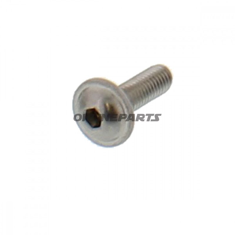 Holdeskrue M5X0.8X20MM