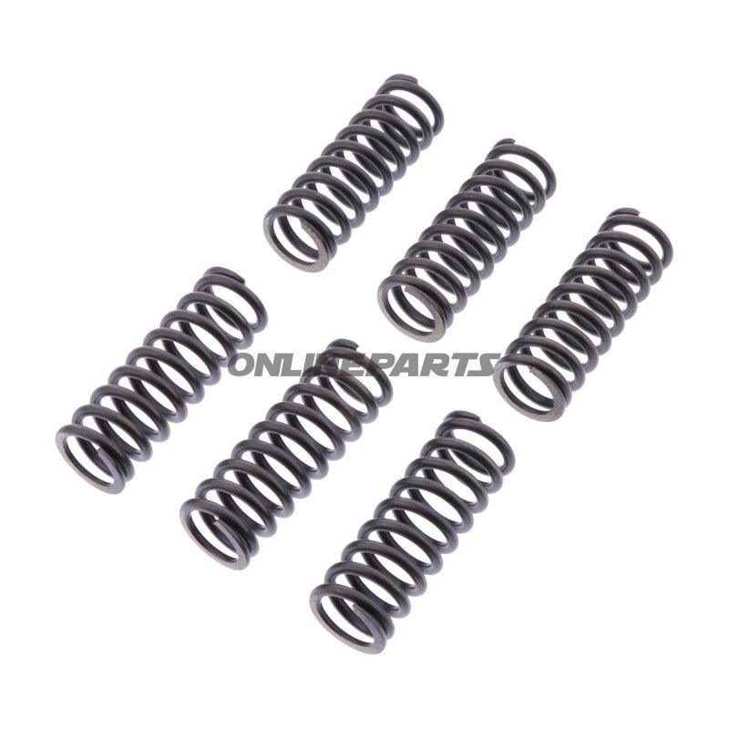 Koblingsfjedre forstærker EBC indhold 6 stykker