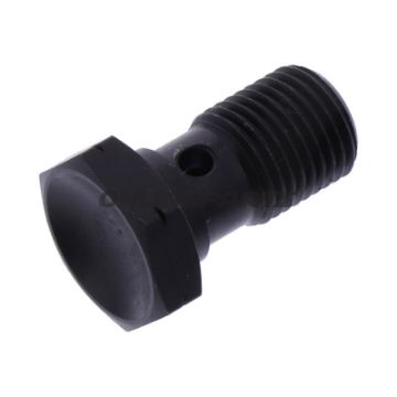 Hul skrue simpel M10 x 1.00 rustfrit stål sort