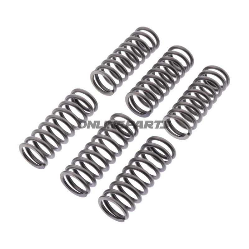 Koblingsfjedre forstærker EBC indhold 6 stykker