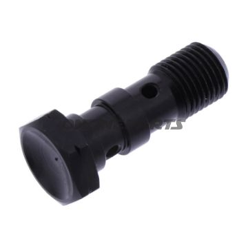 Hohlschraube doppelt M10 x 1.00 Edelstahl schwarz