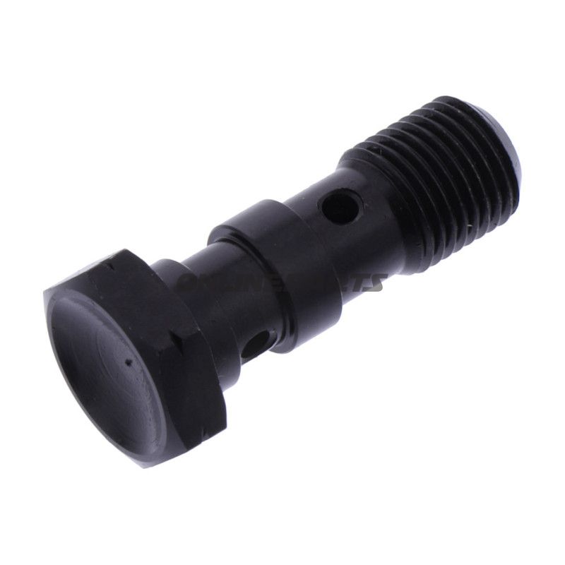 Hohlschraube doppelt M10 x 1.00 Edelstahl schwarz