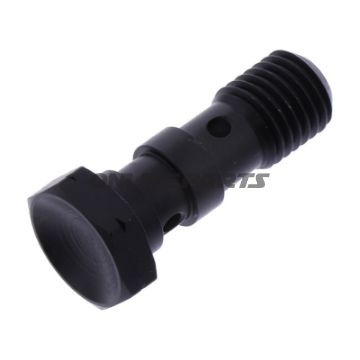 Hohlschraube doppelt M10 x 1.25 Edelstahl schwarz