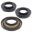 Differentiel Reparationssæt Bag All Balls Racing