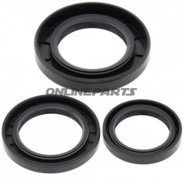 Differentiel Reparationssæt Bag All Balls Racing