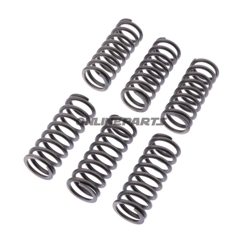 Koblingsfjedre forstærker EBC indhold 6 stykker