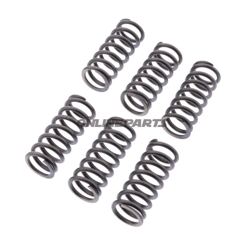 Koblingsfjedre forstærker EBC indhold 6 stykker