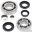 Differentiel reparationssæt for All Balls Racing