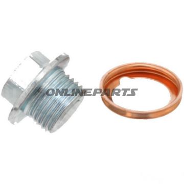 Ol udluftningsskrue ID med tætningsring