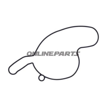 pakning Vandpumpe Dæksel Originale reservedel