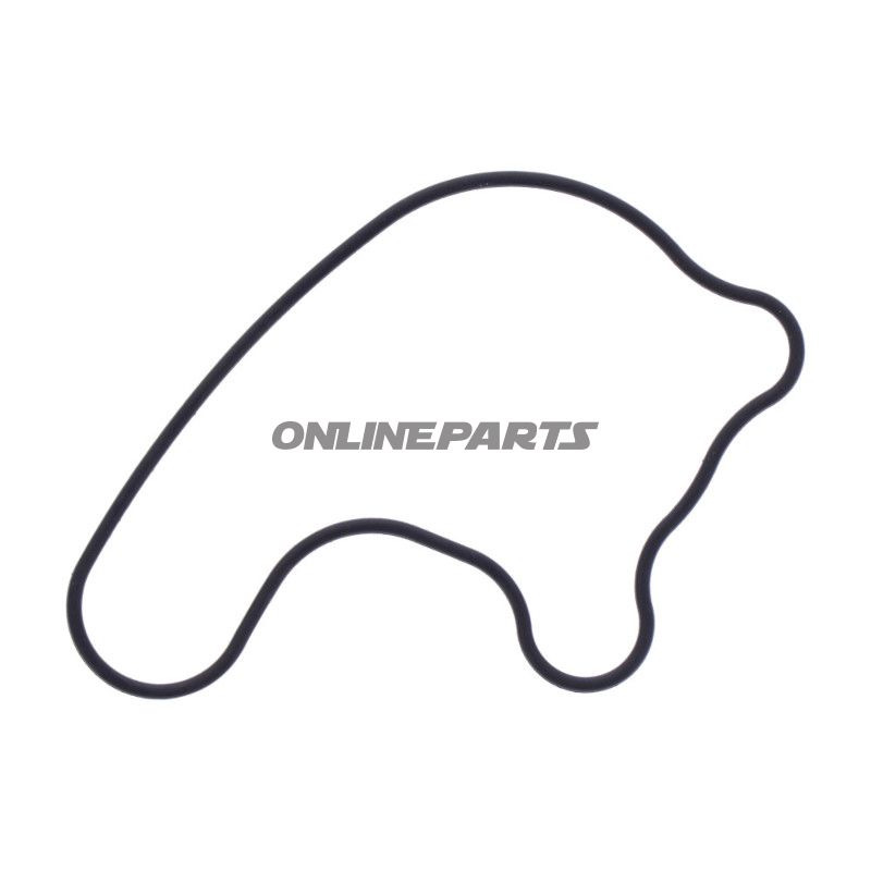 pakning Vandpumpe Dæksel Originale reservedel