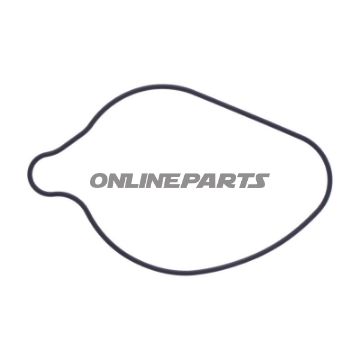 pakning Vandpumpe Dæksel Originale reservedel