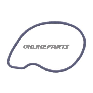 pakning Vandpumpe Dæksel Originale reservedel