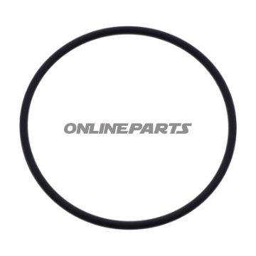 O-Ring Drehanschluss Monty alt 60X2.62