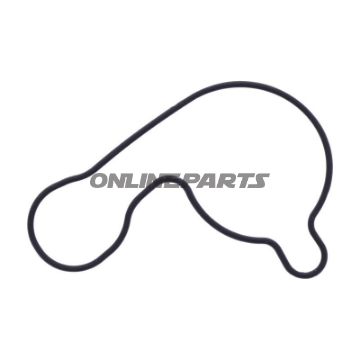 pakning Vandpumpe Dæksel Originale reservedel