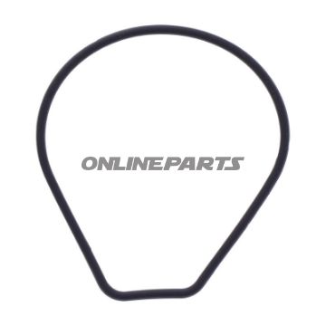 pakning Vandpumpe Dæksel Originale reservedel