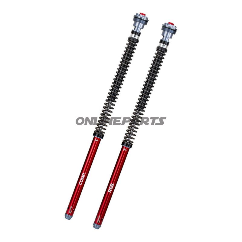 Cartridgekit Gabel YSS Road Z1