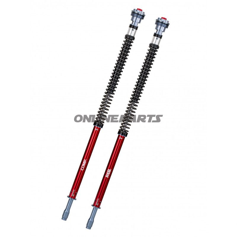 Kassettekit Gabel YSS Road Z1