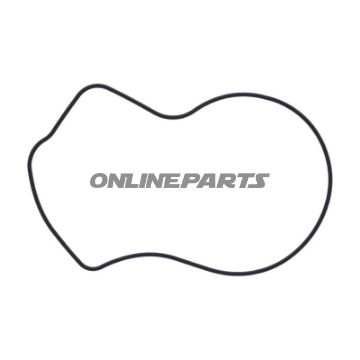 pakning Vandpumpe Dæksel Originale reservedel