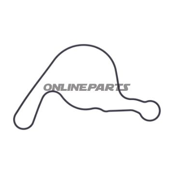 Dichtung Wasserpumpe Deckel Originalersatzteil