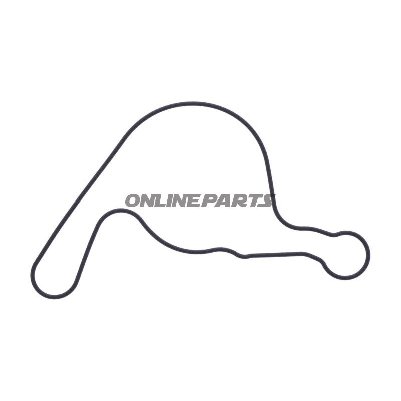 Dichtung Wasserpumpe Deckel Originalersatzteil