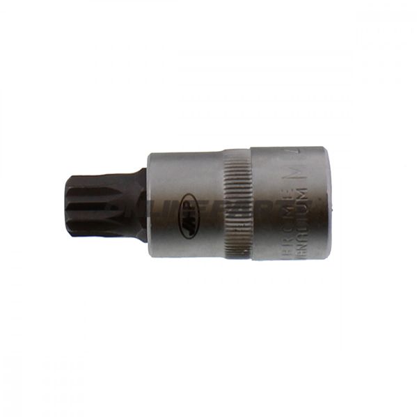 Einsatz Vielzahn 1/2 M14 JMP Länge 55MM