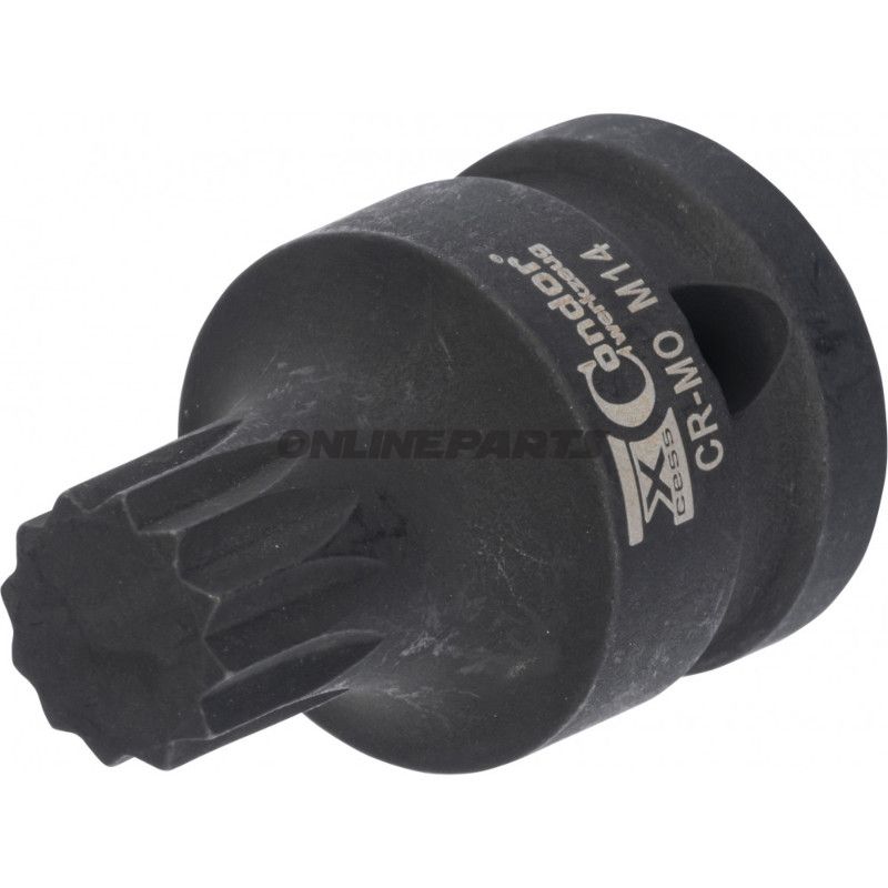 Krafteinsatz 1/2Z M14X40 Vielzahn