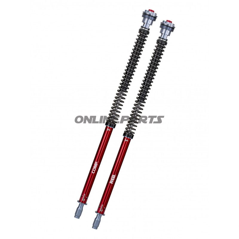 Kassettekit Gabel YSS Road Z1