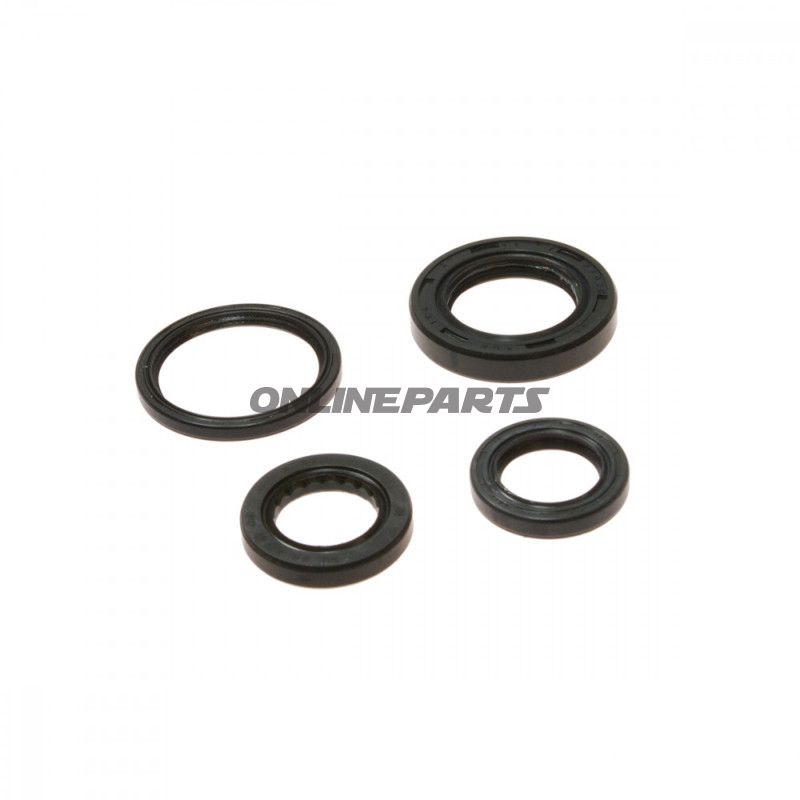 Wellendichtring Satz