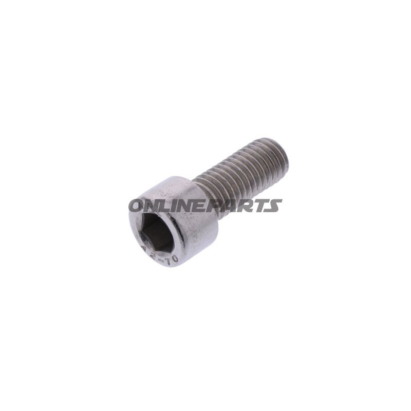 Schraube Bremssattel M10 x 1.5X25MM 