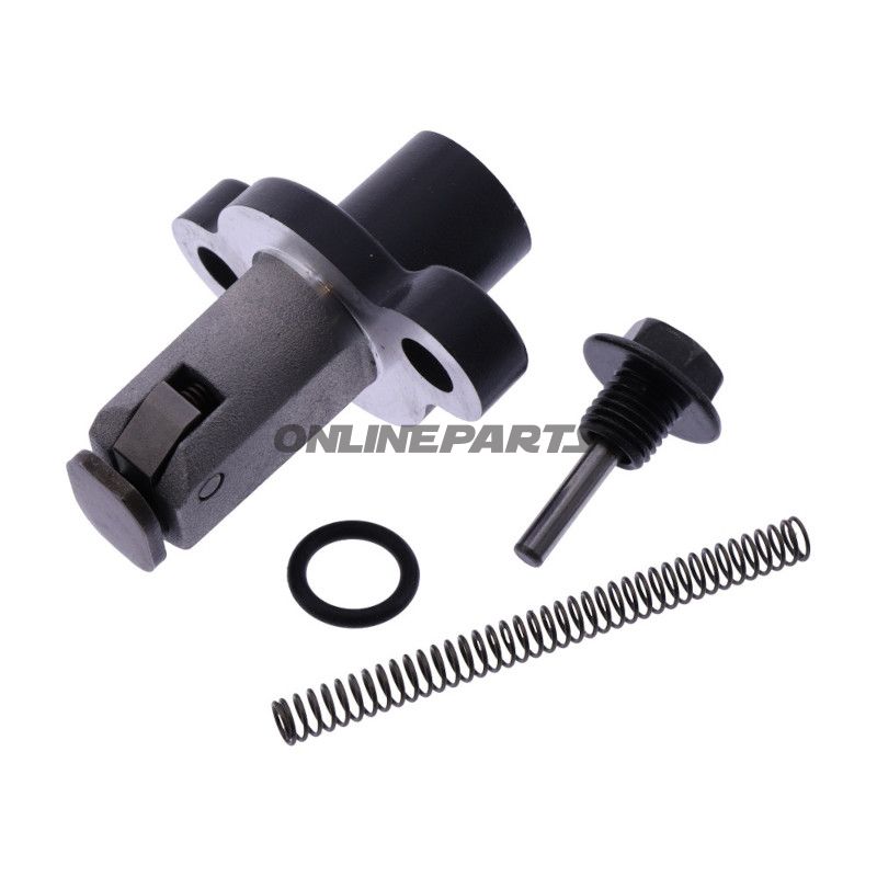 Steuerkettenspanner Originalersatzteil