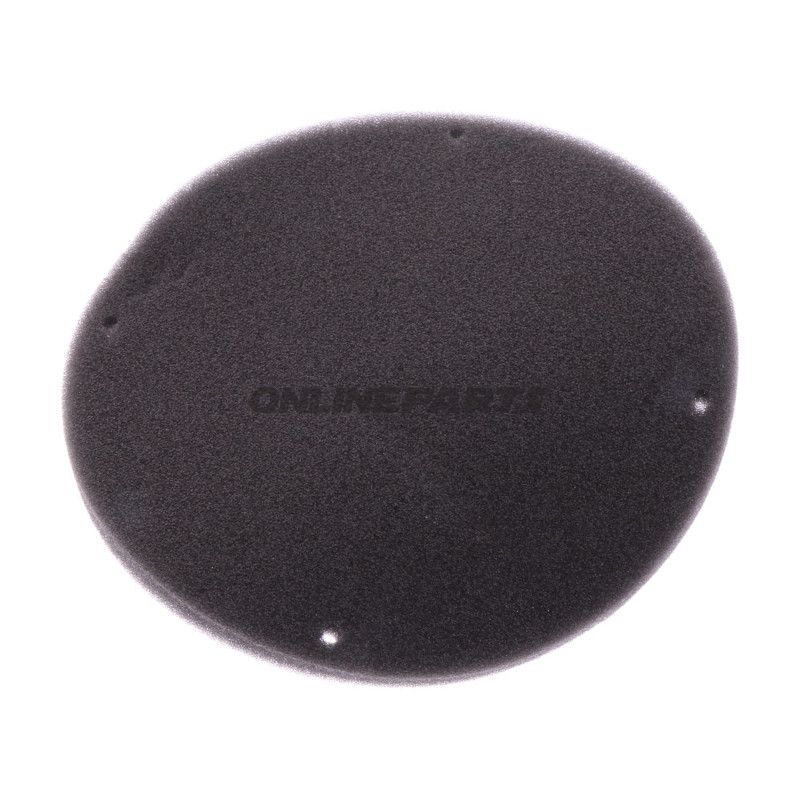 Luftfilter Foam Originalersatzteil Vario