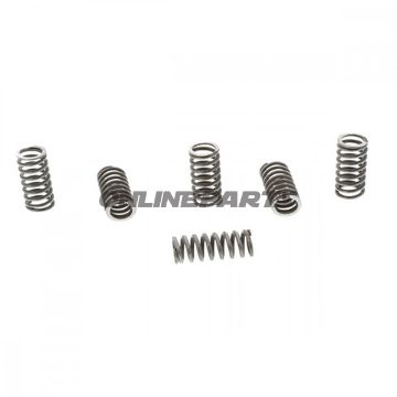 Clutch Spring Kit (6)Trw/ Lucas