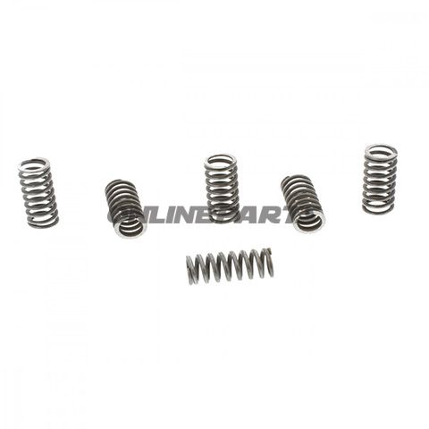 Clutch Spring Kit (6)Trw/ Lucas