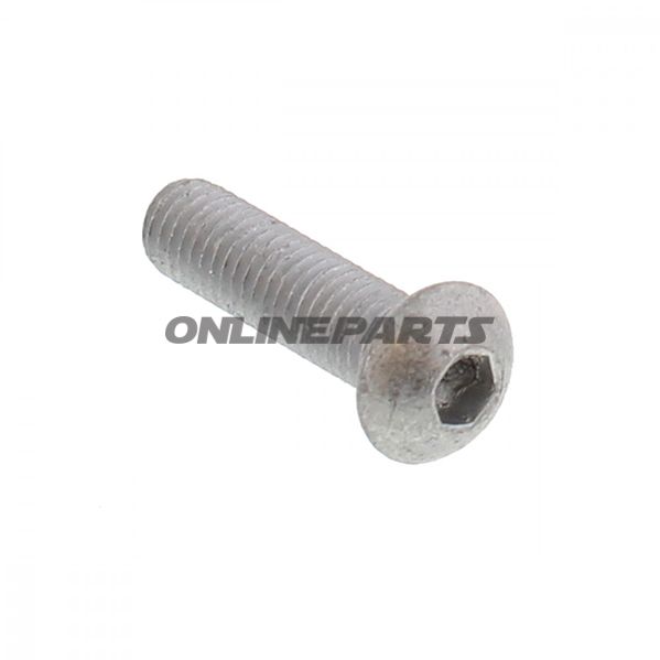 Skrue bremseskive original reservedel M8X1.25X30 mm