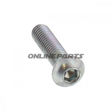 Skrue bremseskive original reservedel M6X1.0X25 mm