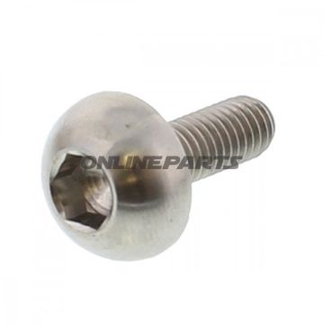 Bremseskive skrue Proboltm6x1.00Mm 17Mm Titan