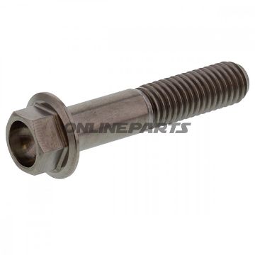 Hex Bolt Jmpm8x1.25 40Mm Titanium